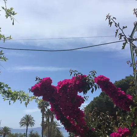 酒店 弗勒岛酒店 勒拉旺杜